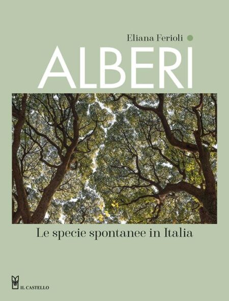 Alberi. Le specie spontanee in Italia. Ediz. a colori