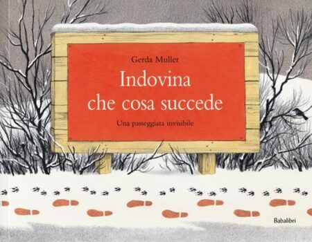 Indovina che cosa succede. Una passeggiata invisibile. Ediz. a colori