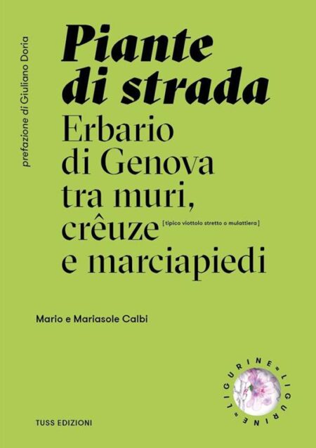 Piante di strada. Erbario di Genova tra muri, crêuze e marciapiedi